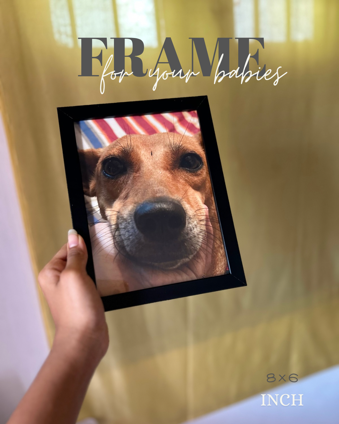 Pet frames for pet lovers