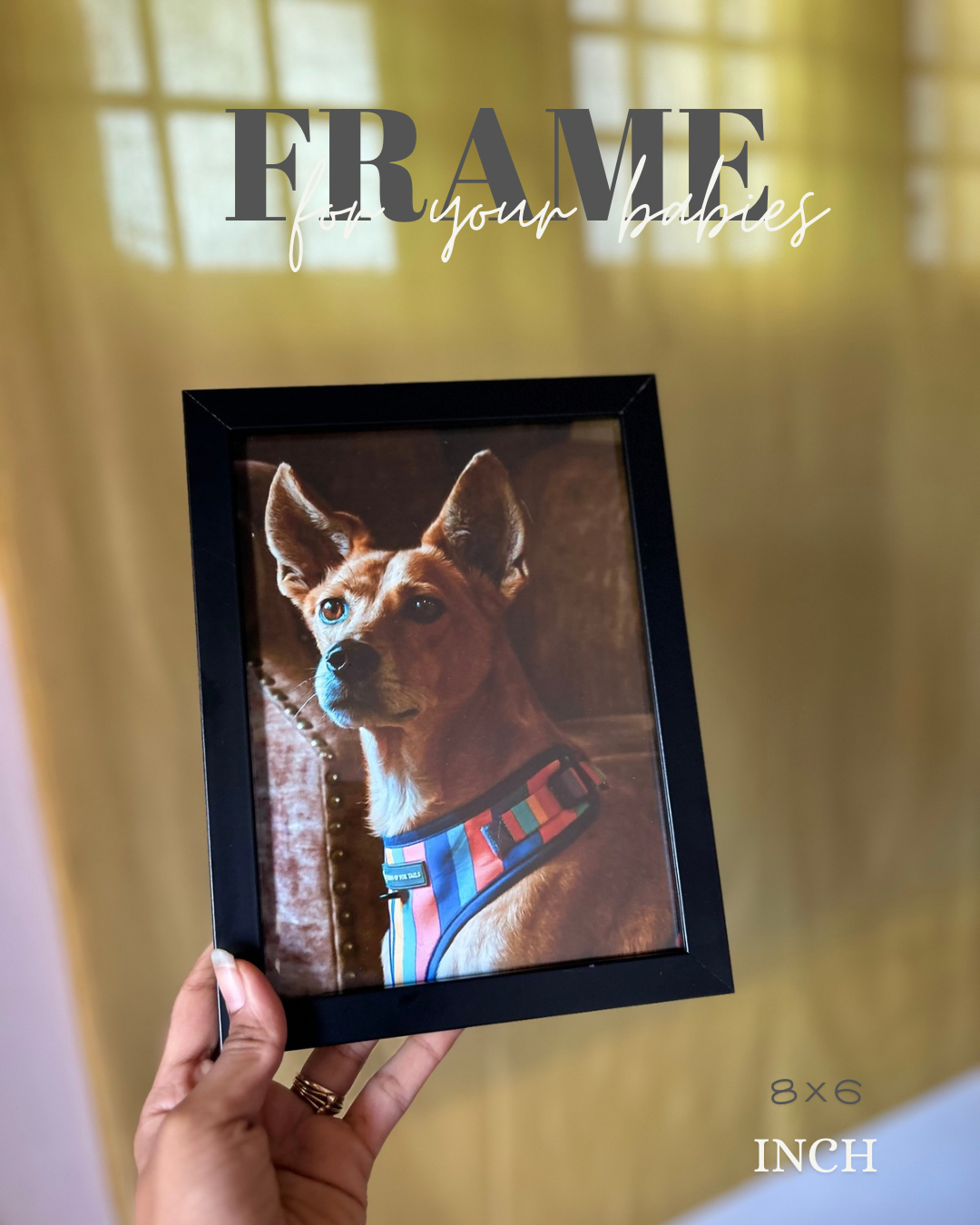 Pet frames for pet lovers