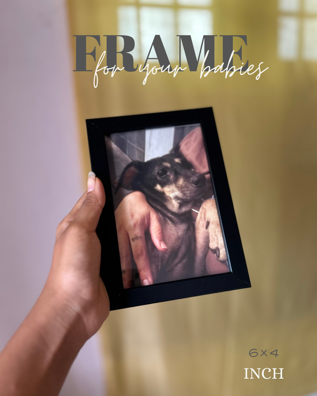 Pet frames for pet lovers