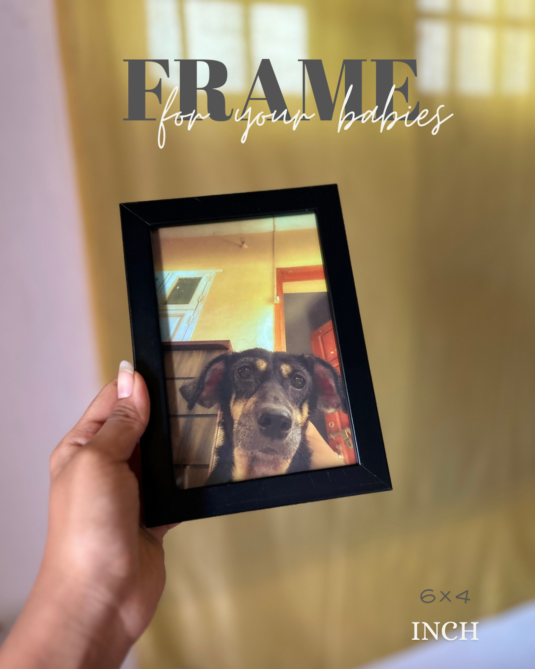 Pet frames for pet lovers