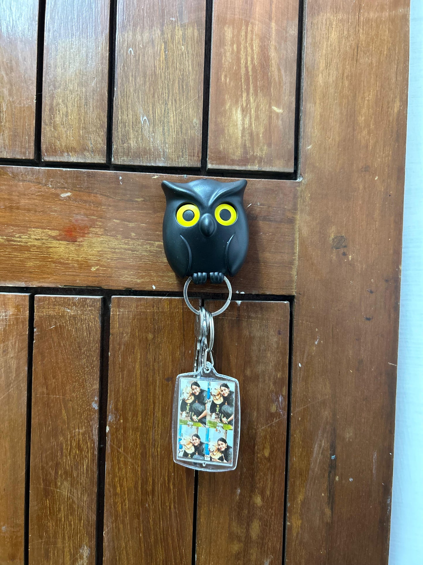 Owl keychain holder