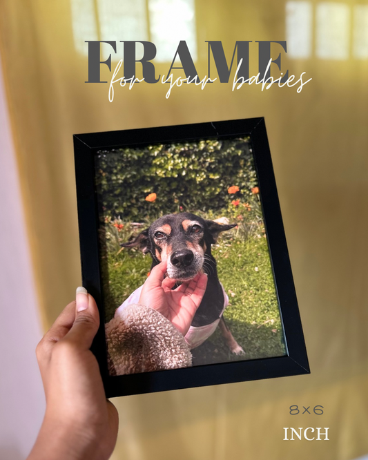 Pet frames for pet lovers