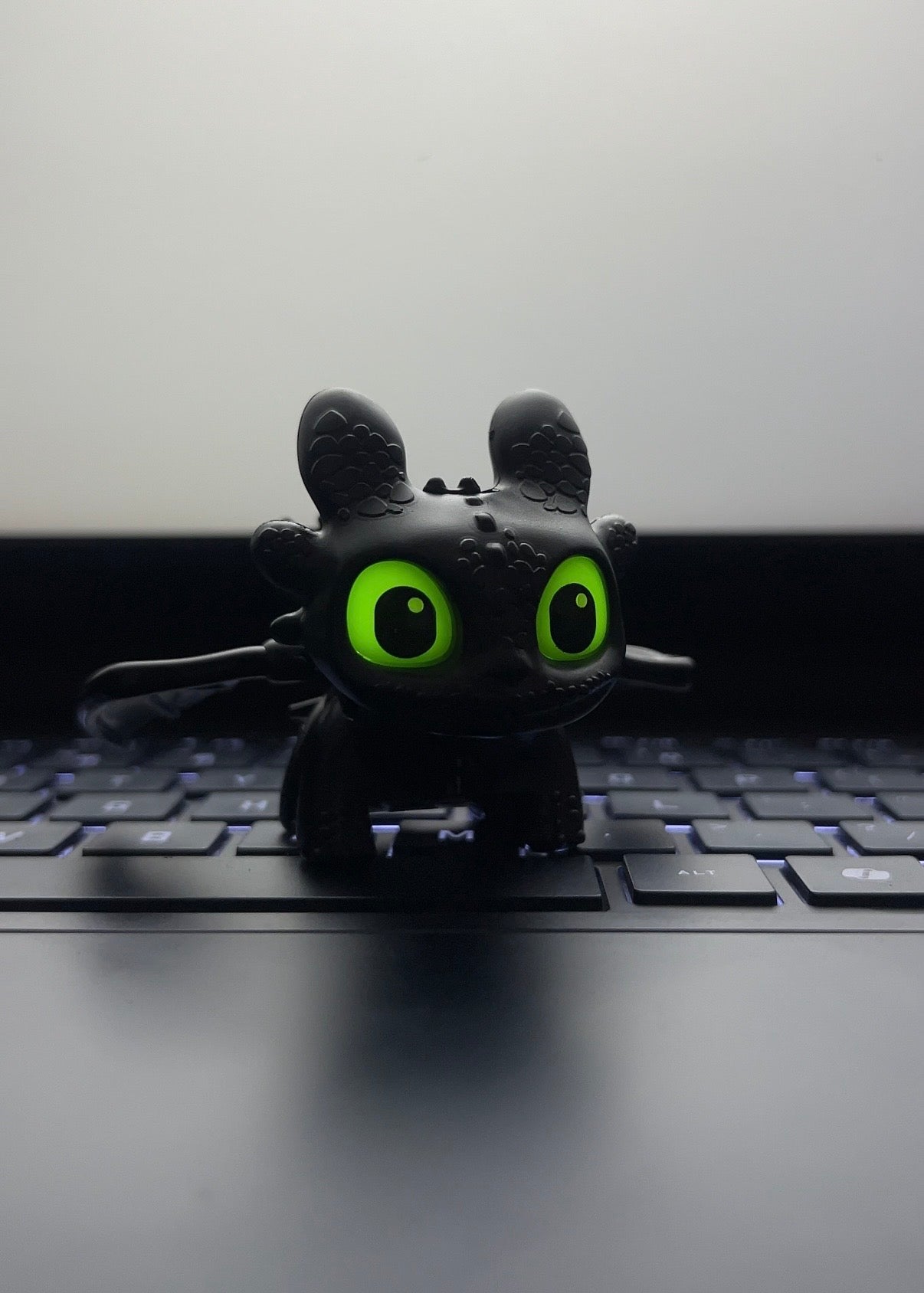Black furry dragon