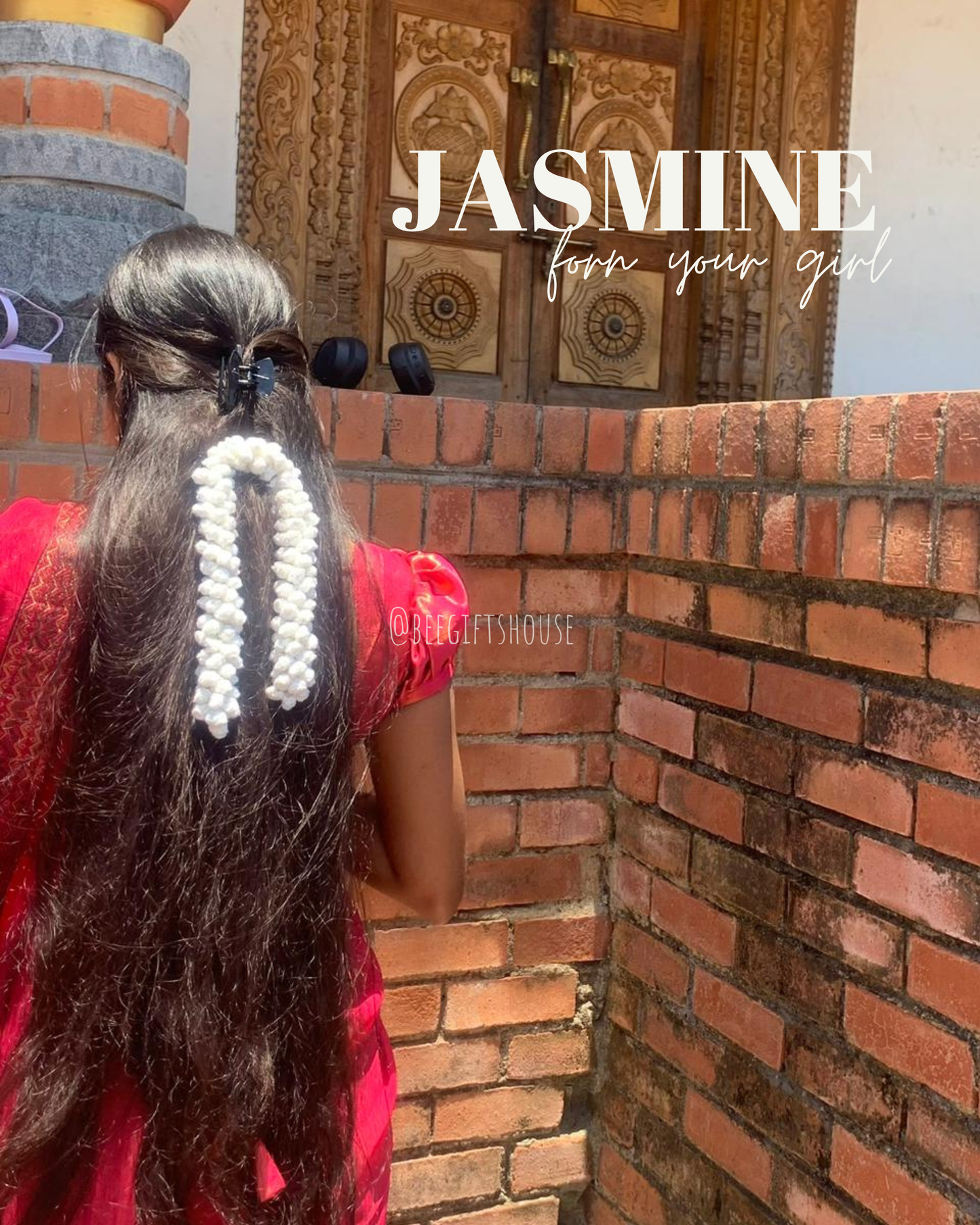 Jasmine ( mallipoo )